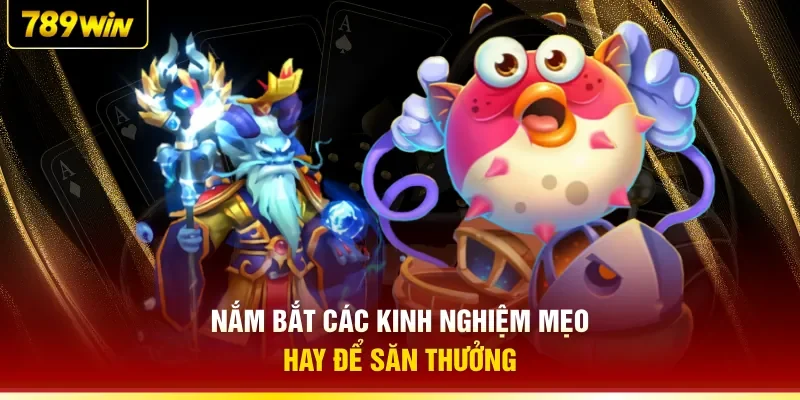 Nắm bắt các kinh nghiệm mẹo hay để săn thưởng