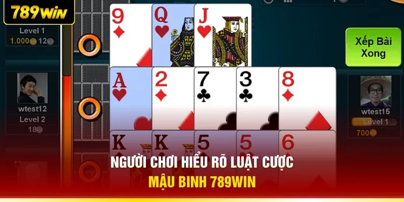 Người chơi hiểu rõ luật cược Mậu Binh 789WIN