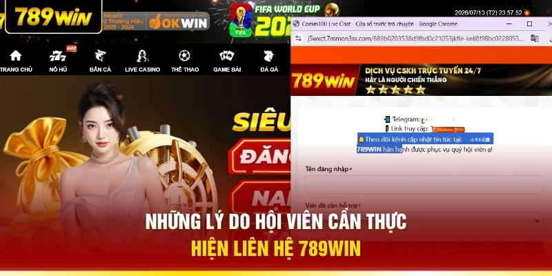 Những lý do hội viên cần thực hiện liên hệ 789WIN